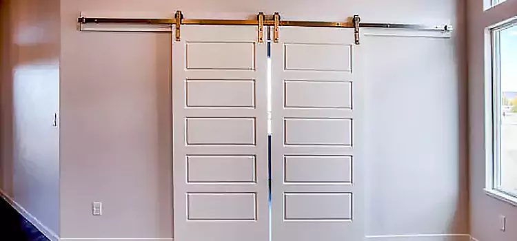 Glass Barn Door with Installation Hardware Kit Tacoma