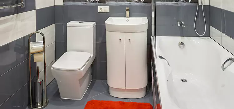 Hansgrohe Shaving Mirror Tacoma